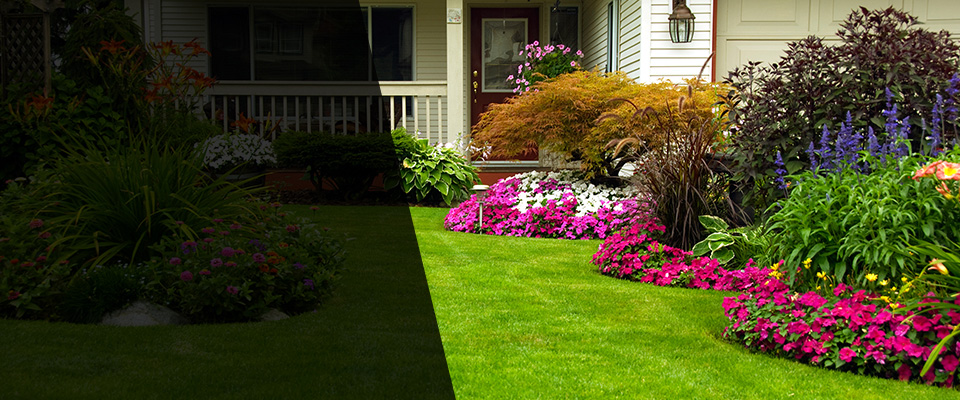Cabot Landscapers